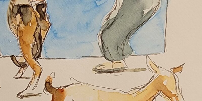 Oman-Urban-Sketching, Nizwa Viehmarkt