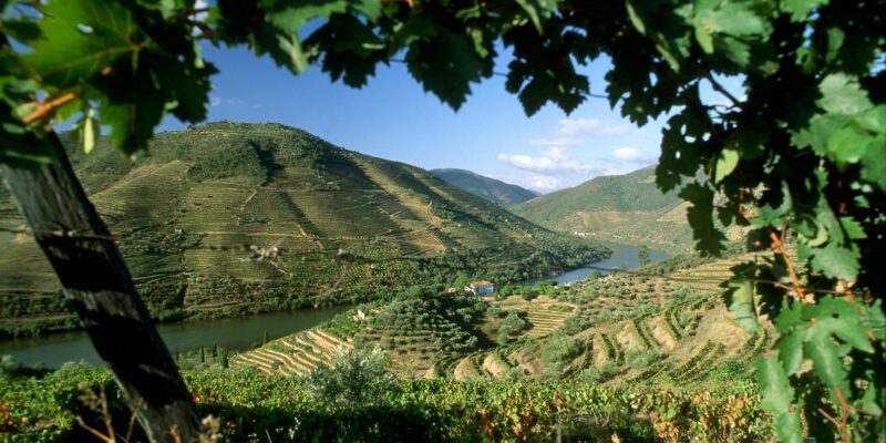 Portugal-Douro-Tal